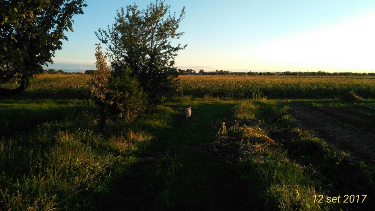 Agriturismo Taglio del Re Villa Jesolo Esterno foto