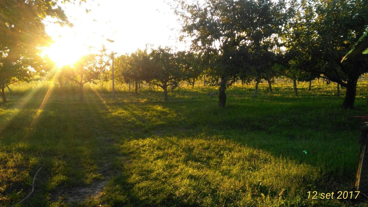 Agriturismo Taglio del Re Villa Jesolo Esterno foto