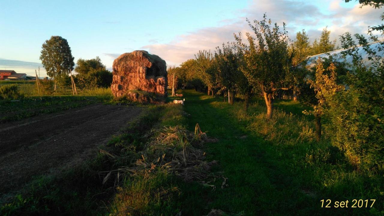 Agriturismo Taglio del Re Villa Jesolo Esterno foto