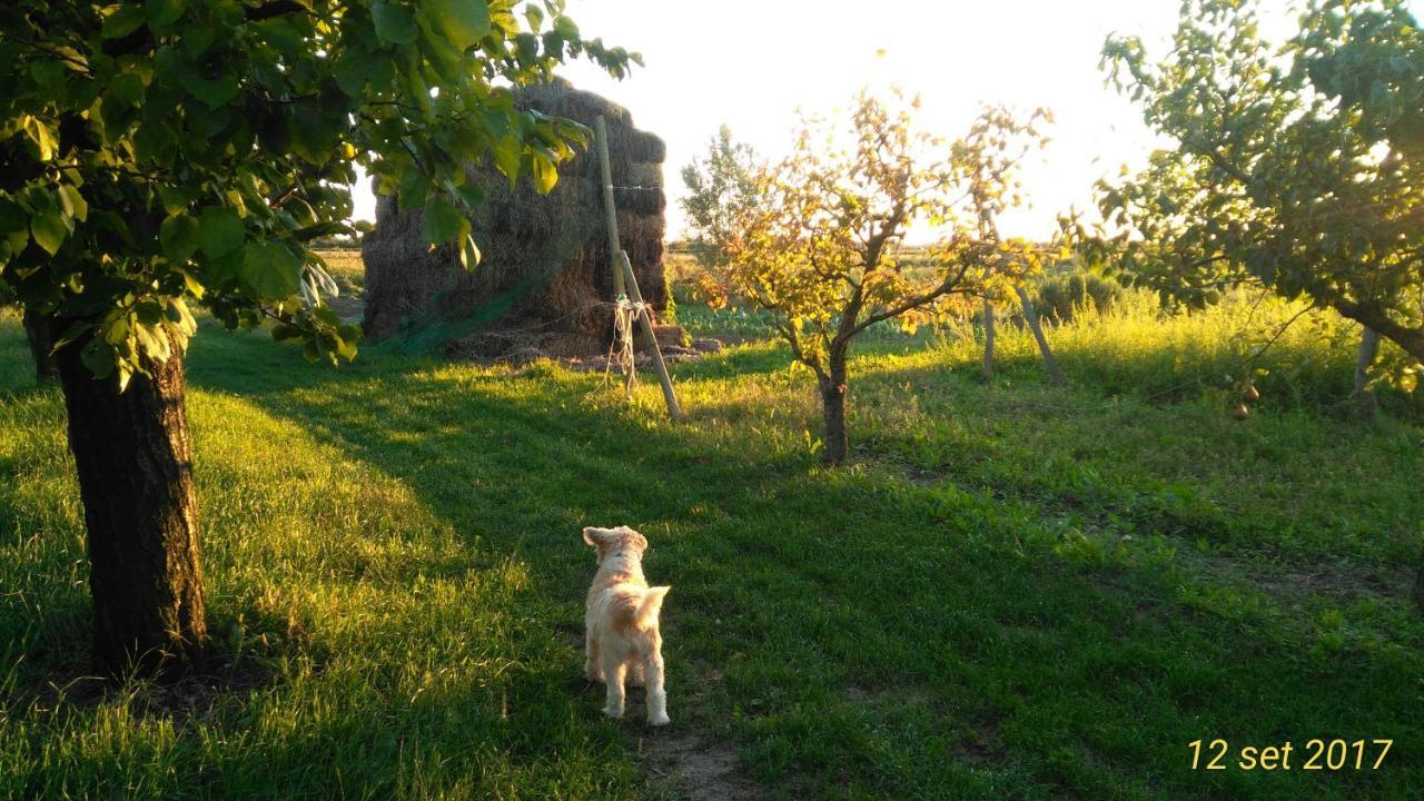 Agriturismo Taglio del Re Villa Jesolo Esterno foto